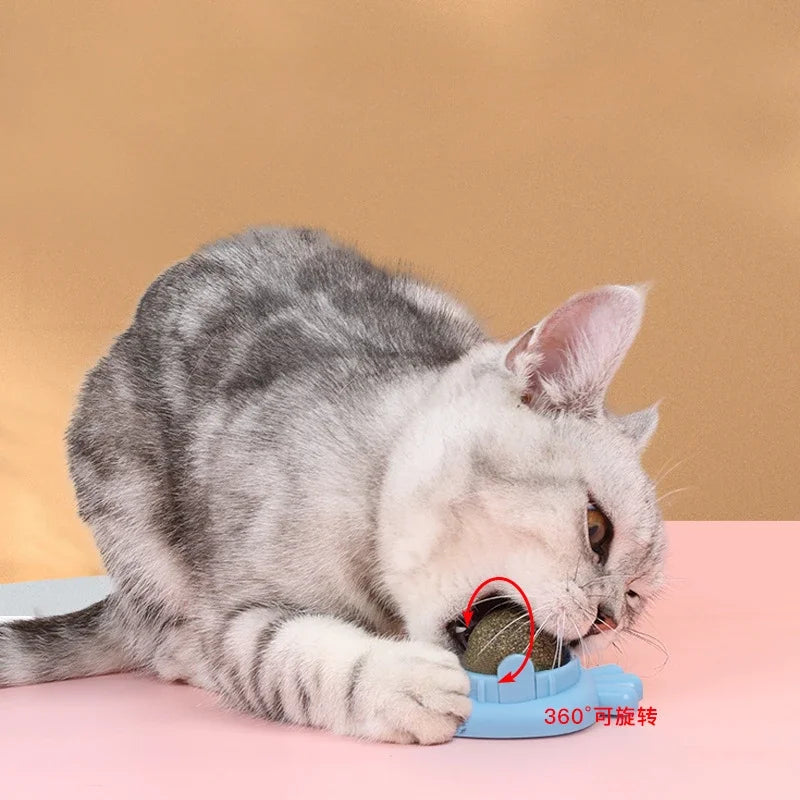 Catnip Balls Wall Stick-On Ball Toys Cat Mint Ball Healthy Natural Removes Hair Balls to Promote Digestion Pet Cat Grass Snacks