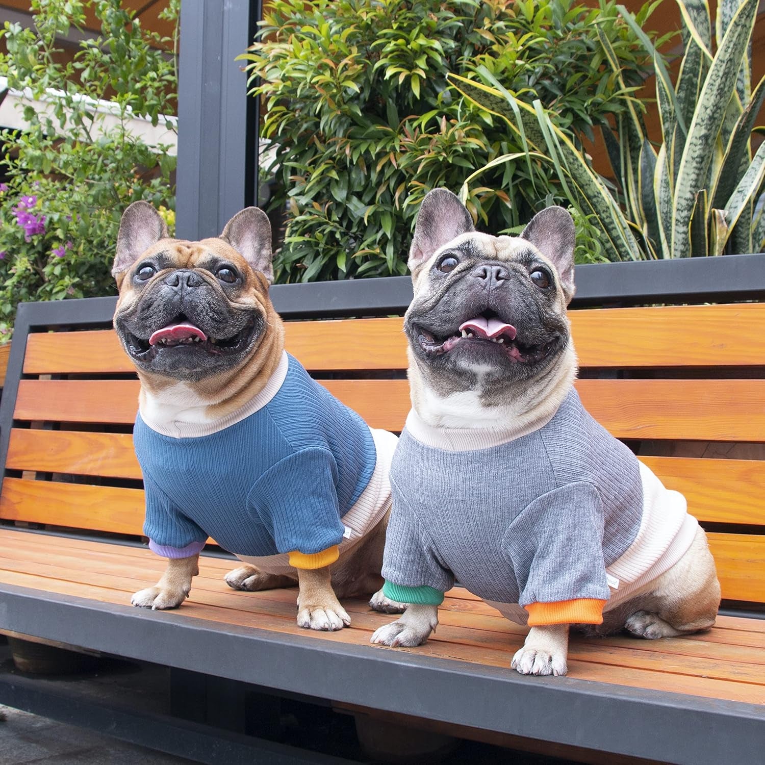 Pet Dog Crewneck Sweater Color Block Pullover Winter Warm Clothes for English Bulldog Bully Pitbull - Grey and Yellow/Xlarge